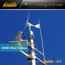 Turbina de viento del alternador de 300W 24V mini